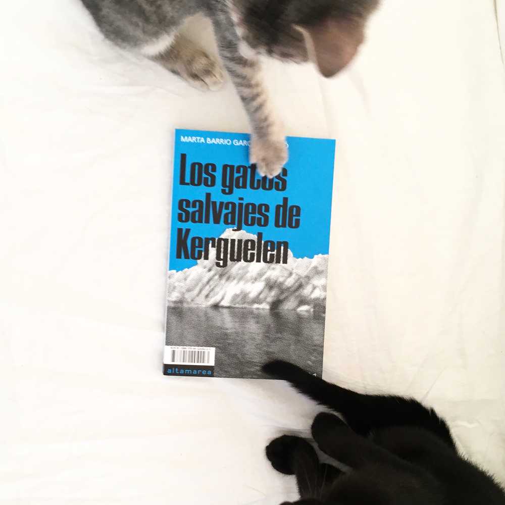 Cubierta del libro Los gatos salvajes de Kerguelen escrito por Marta Barrio García-Agulló
